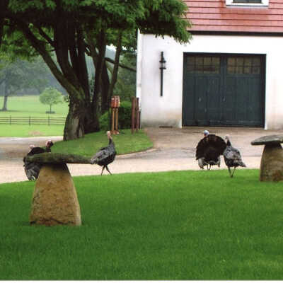Crab Tree Farm