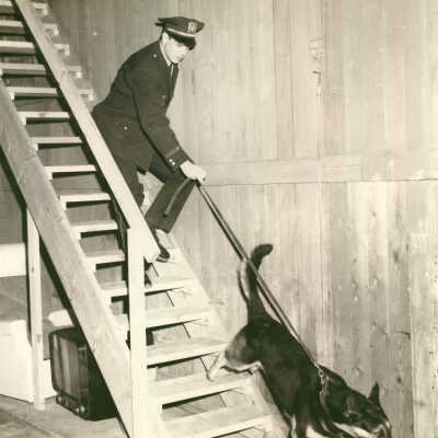 Police officer with police dog
