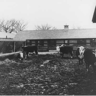 Copyright: Lake Forest-Lake Bluff Historical Society