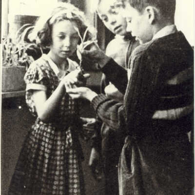 Three students