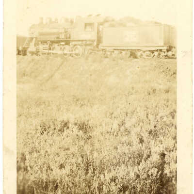 Stanely Wells Collection of Donnelly's Trains at his farm