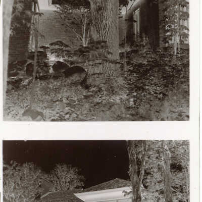 Orr Negatives