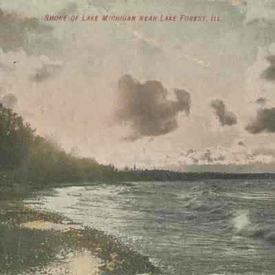 Lake Michigan Shoreline Postcard