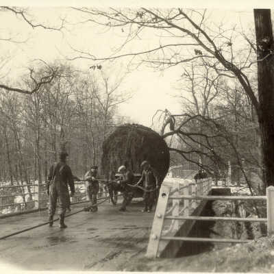 Moving a tree