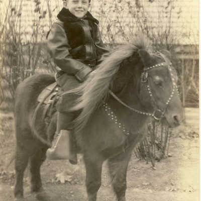 Alfred Niemi on Pony