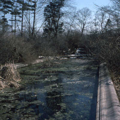 Villa Turricum