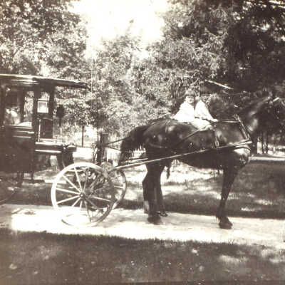 Horse and Carriage - Children on Horseback