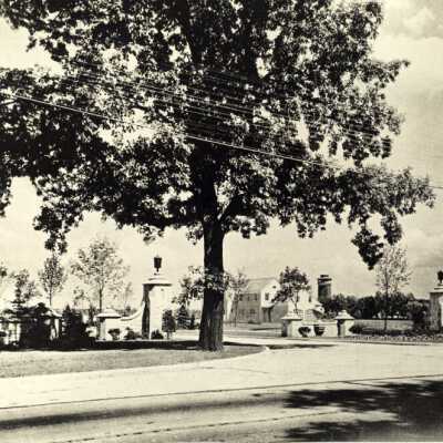 Deerpath Hill Estates