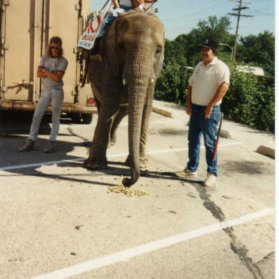 John Janowick on elephant