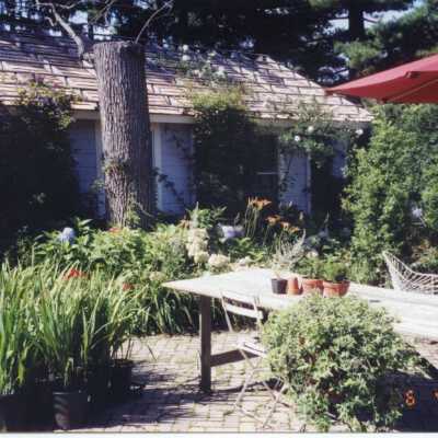 930 East Rosemary garden