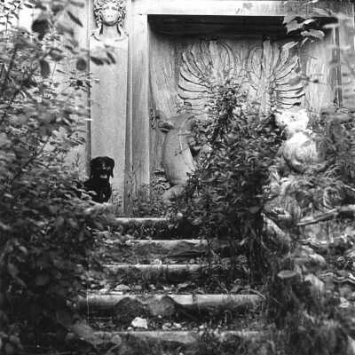 Villa Turicum steps and sculpture