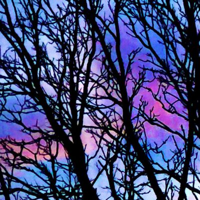 "Beautiful sunset photographed from our window"