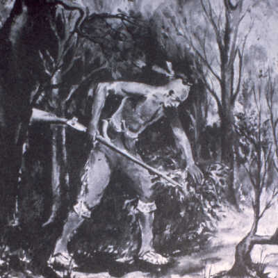 Potawami Indian bending sapling