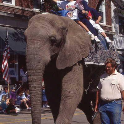 Lake Forest Day Parade
