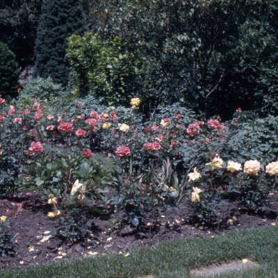 Gardens of Lake Forest