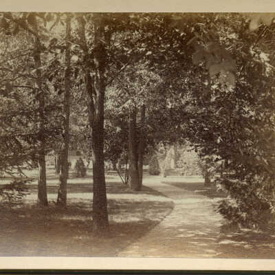 Walking path