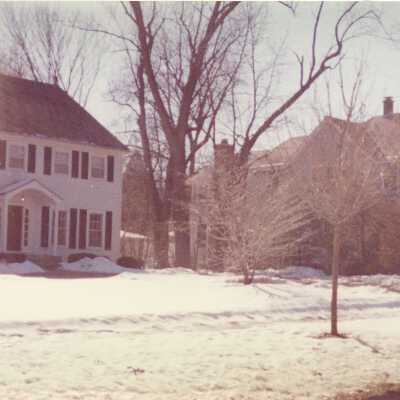 Vine Avenue