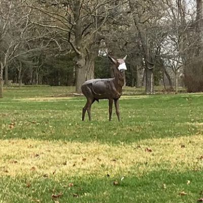 "Triangle Park deer statue"