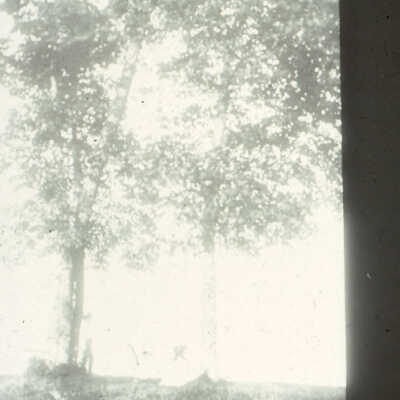 Children overlooking the lake