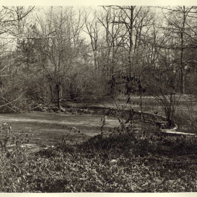 Ragdale