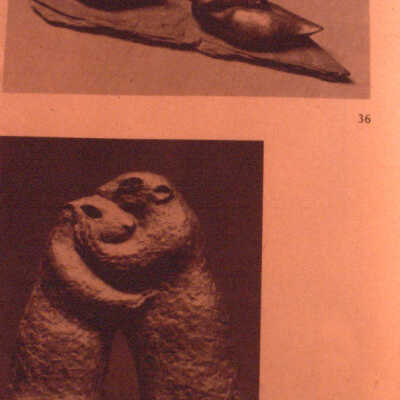 Sleeping Geese/ Prairie Dogs