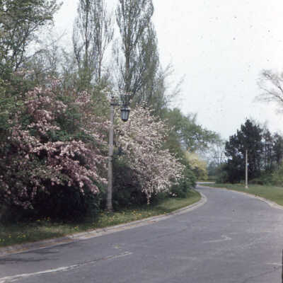 Deerpath