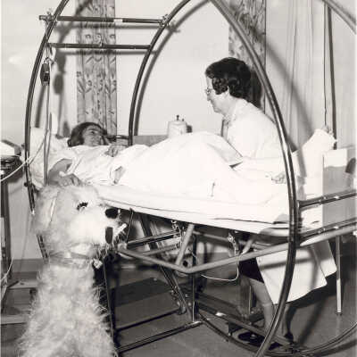 Lake Forest Hospital Records