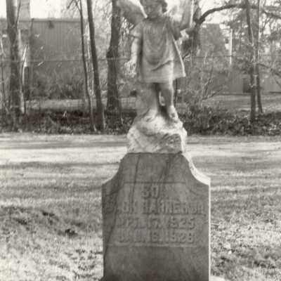 Lake Forest Cemetery