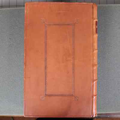 Rebound Back Cover