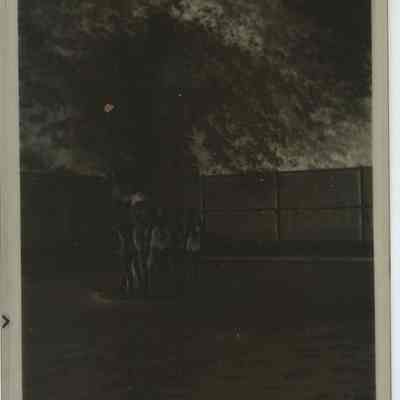 When Donaldeen Was Here- Swimming Pool Casto Tares etc. House
