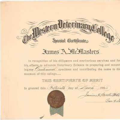 1905 Western Veterinary College Certificate - Anatomy