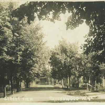 Postcard Street View - Tree Lined Street