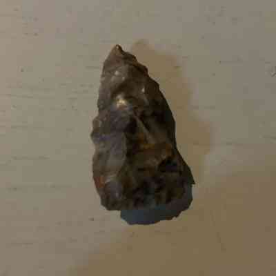 Paleo unfluted Clovis