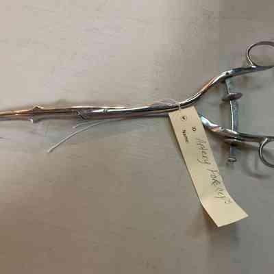 Artery Forceps