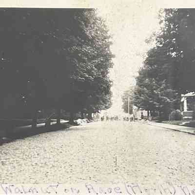 WPA Paving Walnut St, 1936