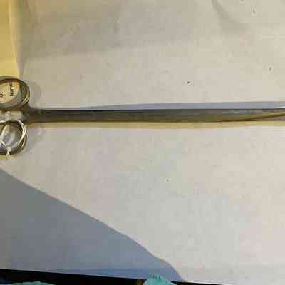 9.5" Surgical Scissors