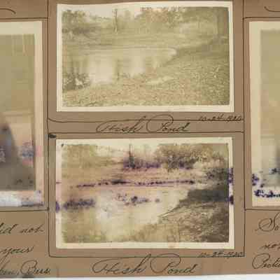 Weisheit Album Page (1920s)