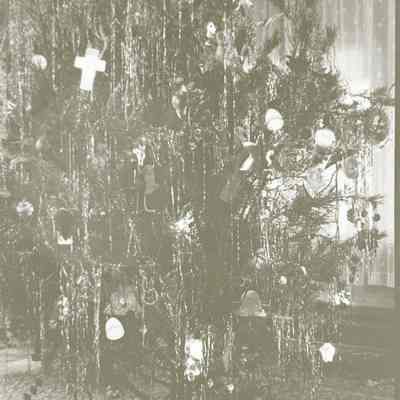 Our Tree 1935