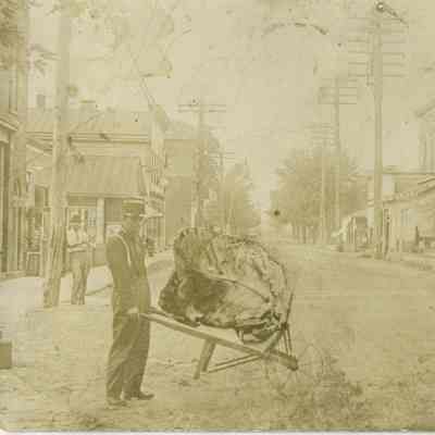 Washington St. Ravenswood WV 1900-1901