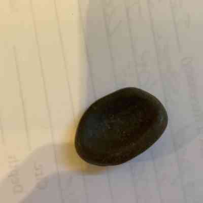 Stone Bowl