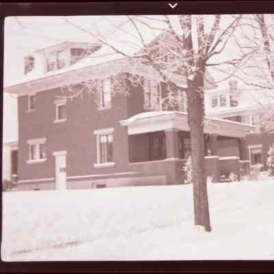 Snow Scenes