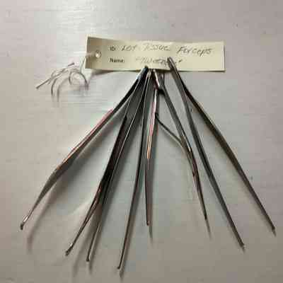 Tissue Forceps 5.5" (4 ct)