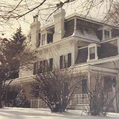 The Cedars