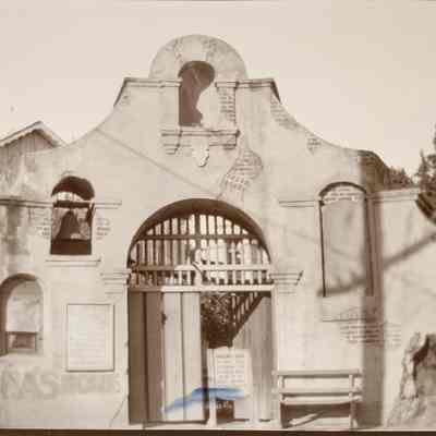 Large Grapevine, "Ramona's Birthplace" Group of Missions