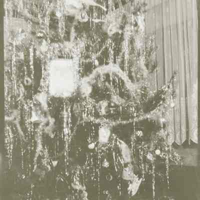 Christmas Tree 1926