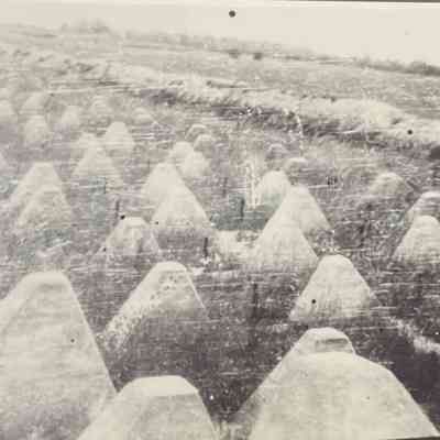 Dragons teeth