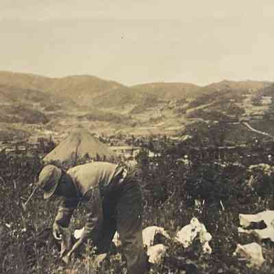 Man in field