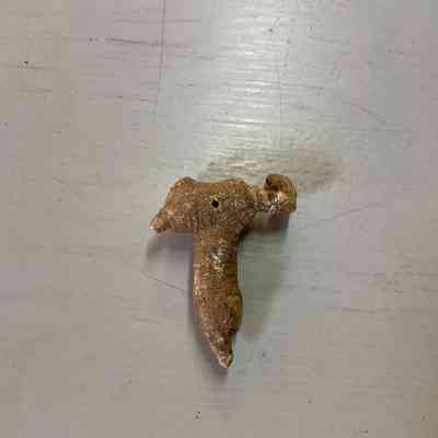 Antler Pendant
