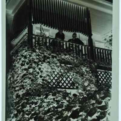 Crit McKays 1934