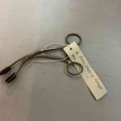 Bone Holding Forceps